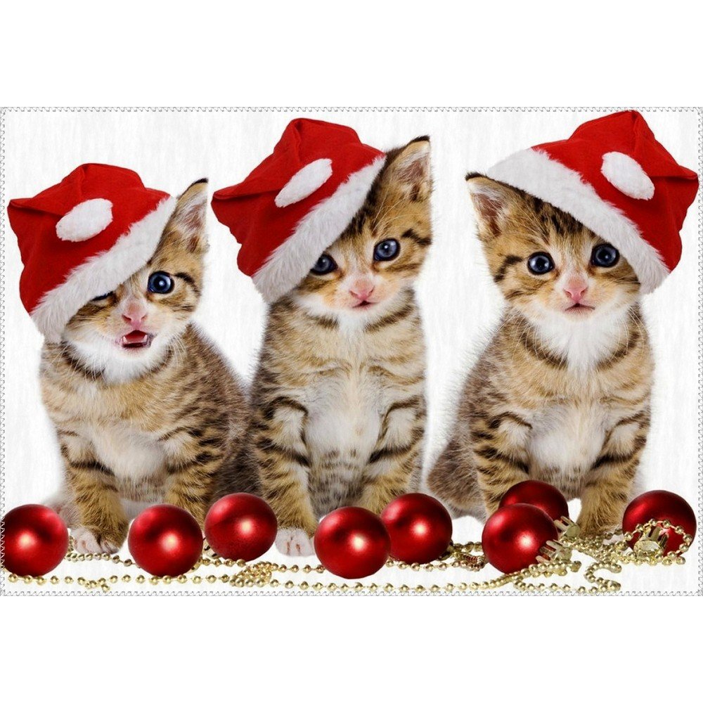 Koberec Vitaus Christmas Period Three Cats, 50 x 80 cm v:1320028