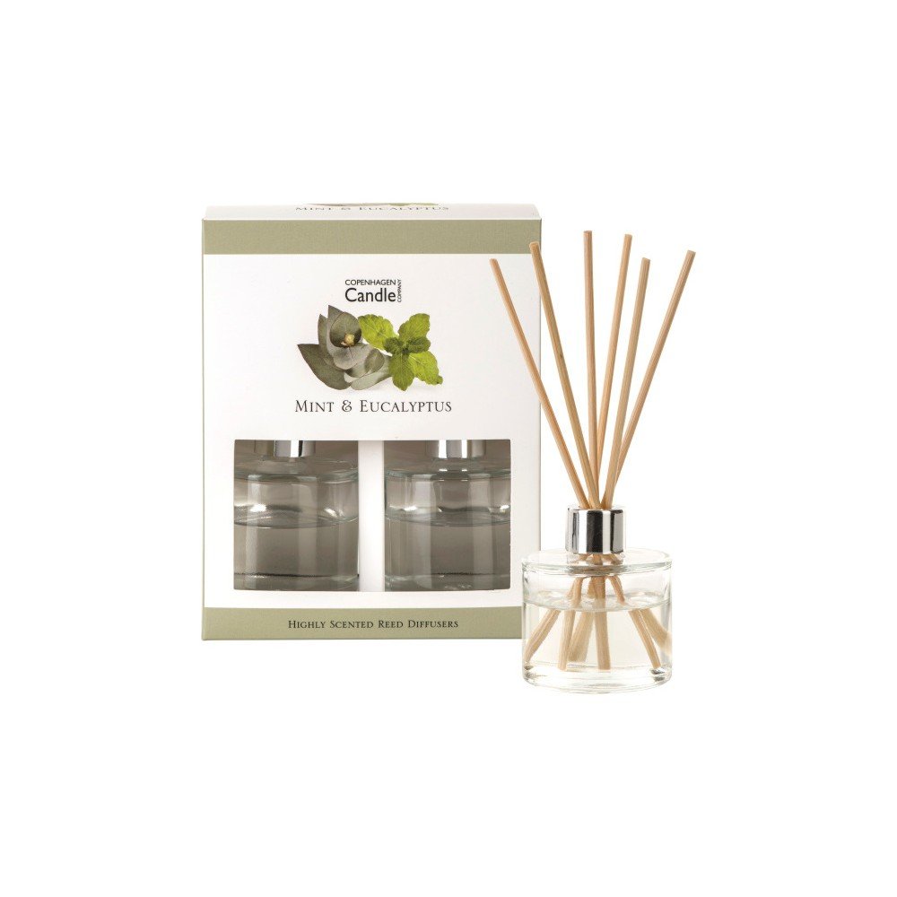 Sada 2 aroma difuzérů s vůní máty a eukalyptu Copenhagen Candles, 40 ml v:927726