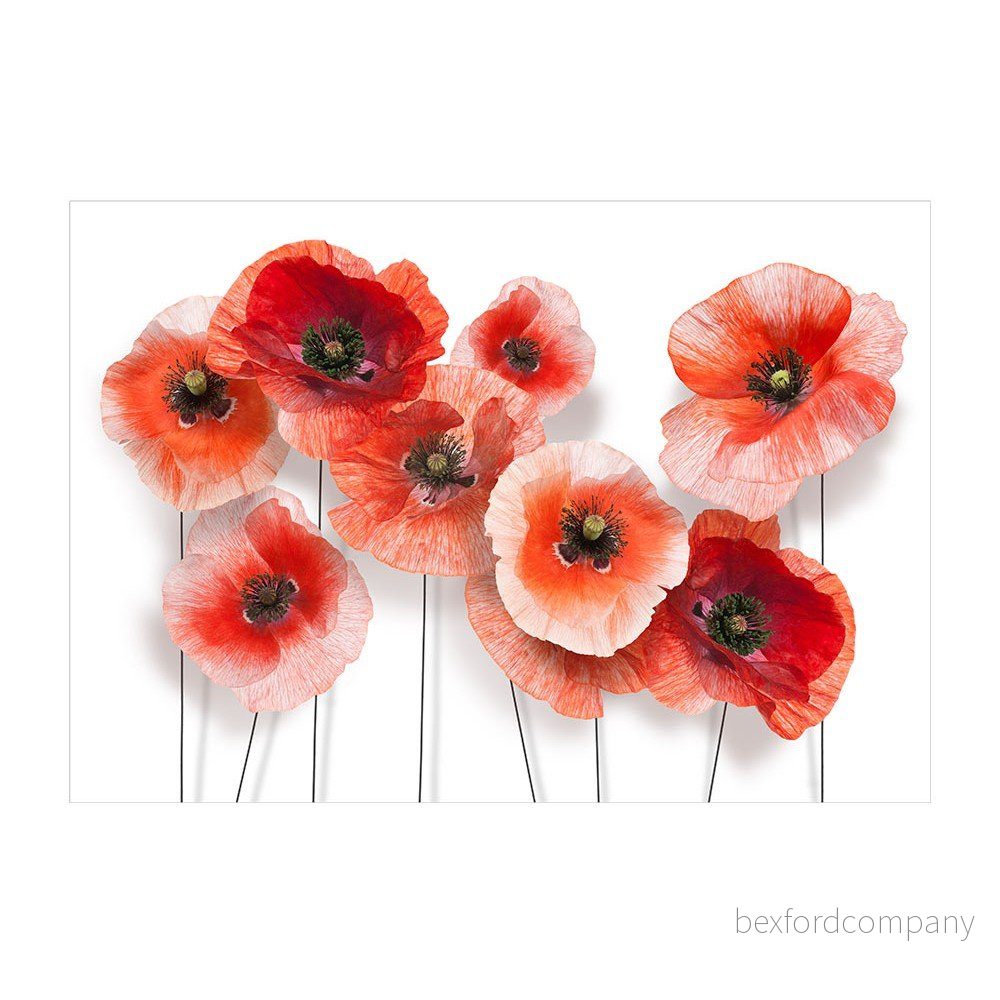 Velkoformátová tapeta Artgeist Nine Poppies, 200 x 140 cm v:1376569