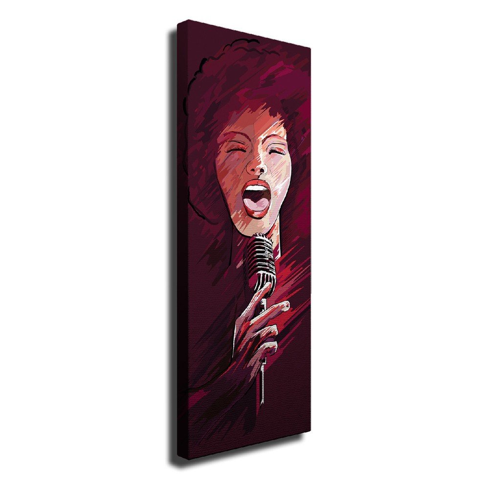 Nástěnný obraz na plátně Singer, 30 x 80 cm v:1285966