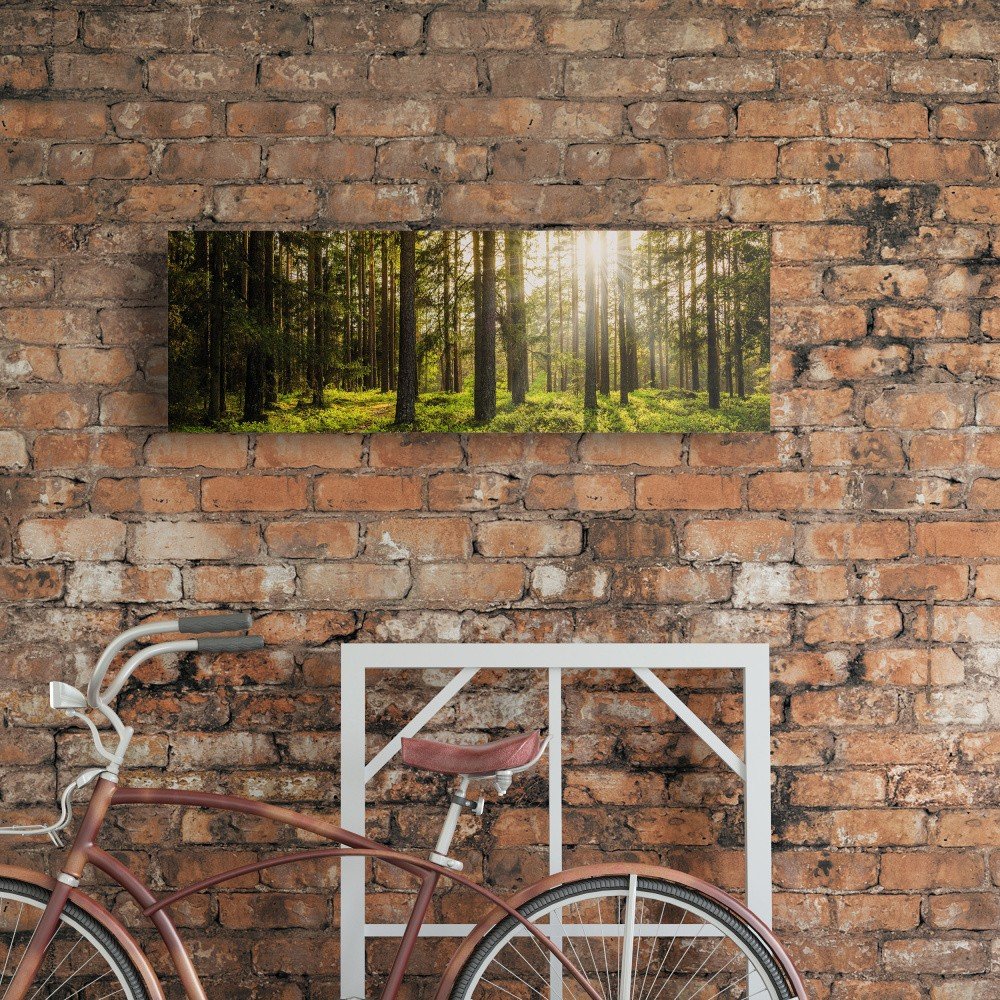 Obraz na plátně OrangeWallz Pine Tree Forest, 30 x 90 cm v:1144324