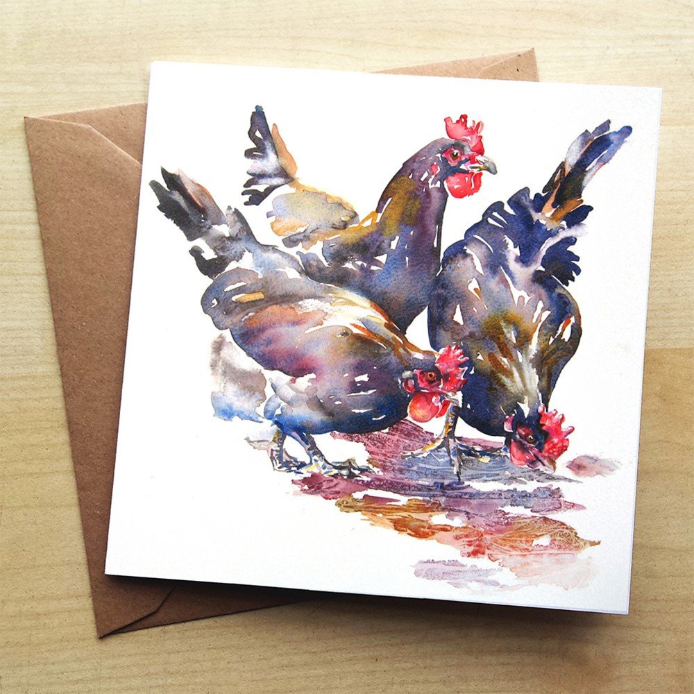 Přáníčko Wraptious Our New Girls Chickens v:723734