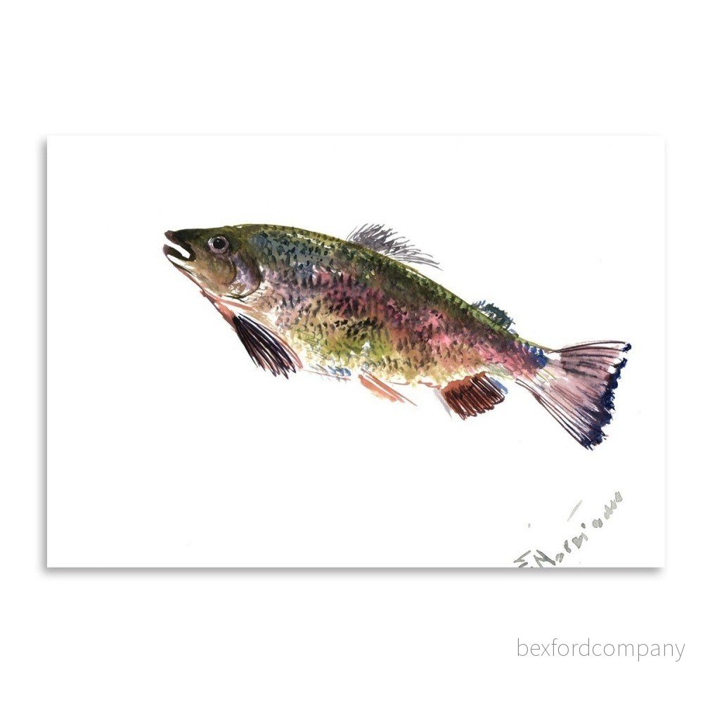 Autorský plakát Rainbow Trout od Surena Nersisyana, 42 x 30 cm v:758510 Autorský plakát Rainbow Trout od Surena Nersisyana, 42 x 30 cm v:758510