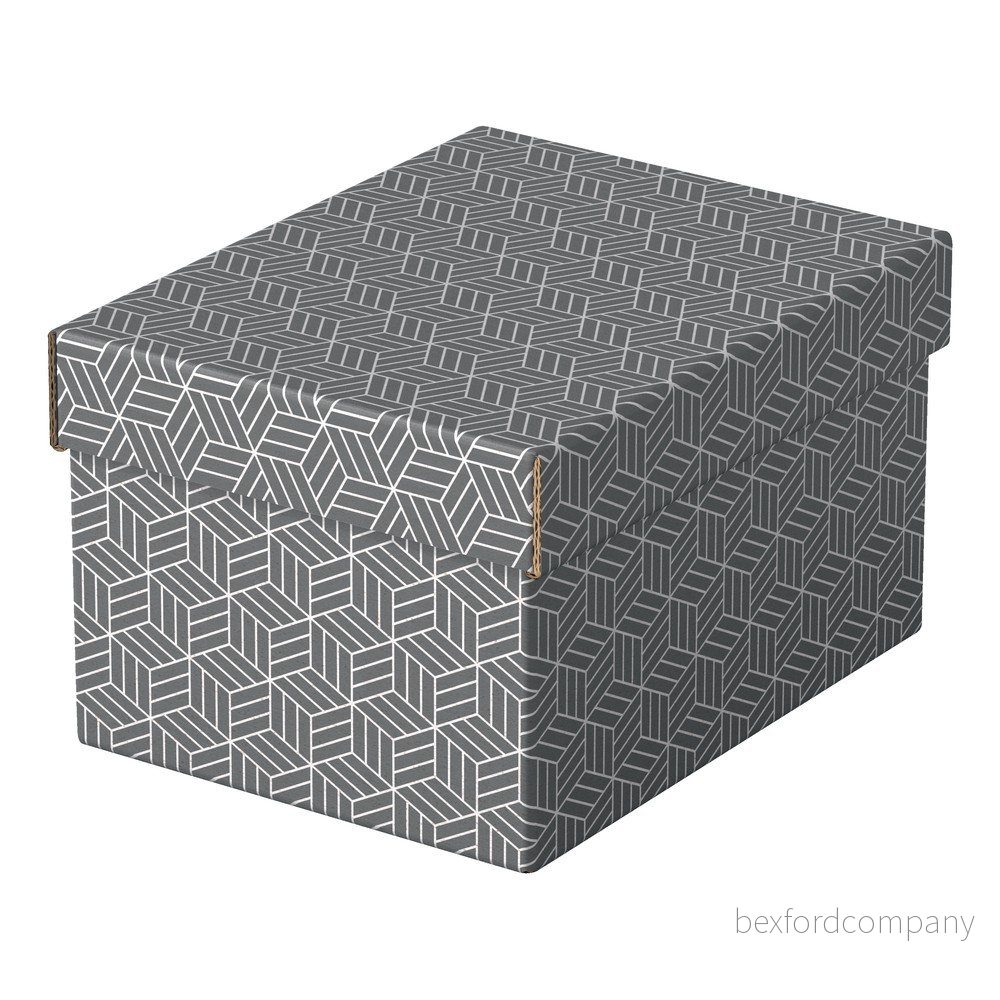 Sada 3 šedých úložných boxů Esselte Home, 20 x 25,5 cm v:1392971