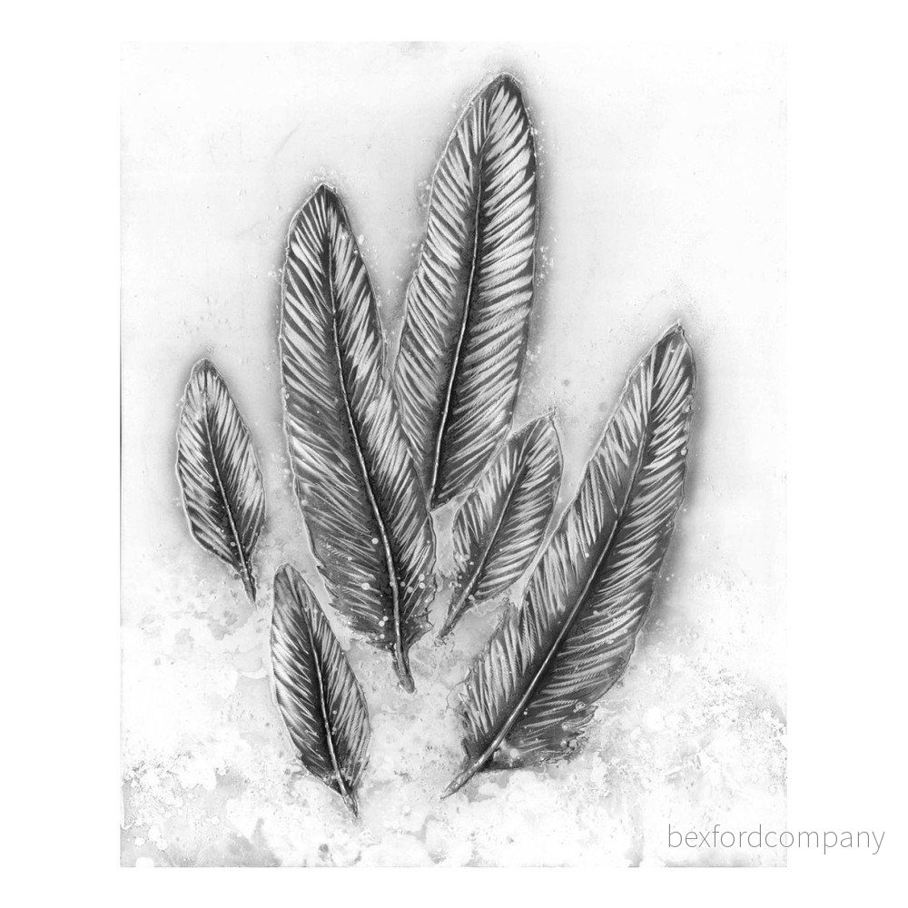 Obraz Vivorum Feathers v:801212