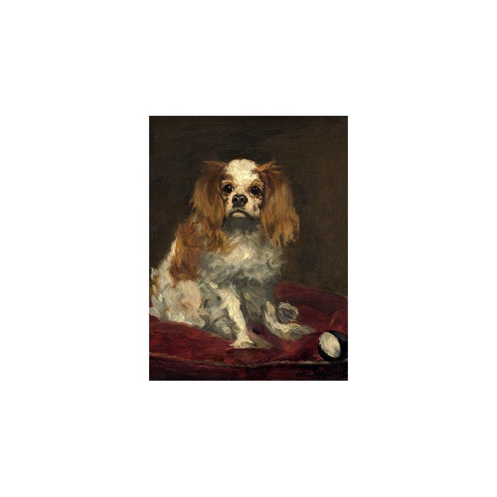 Reprodukce obrazu 30x40 cm A King Charles Spaniel v:1378581