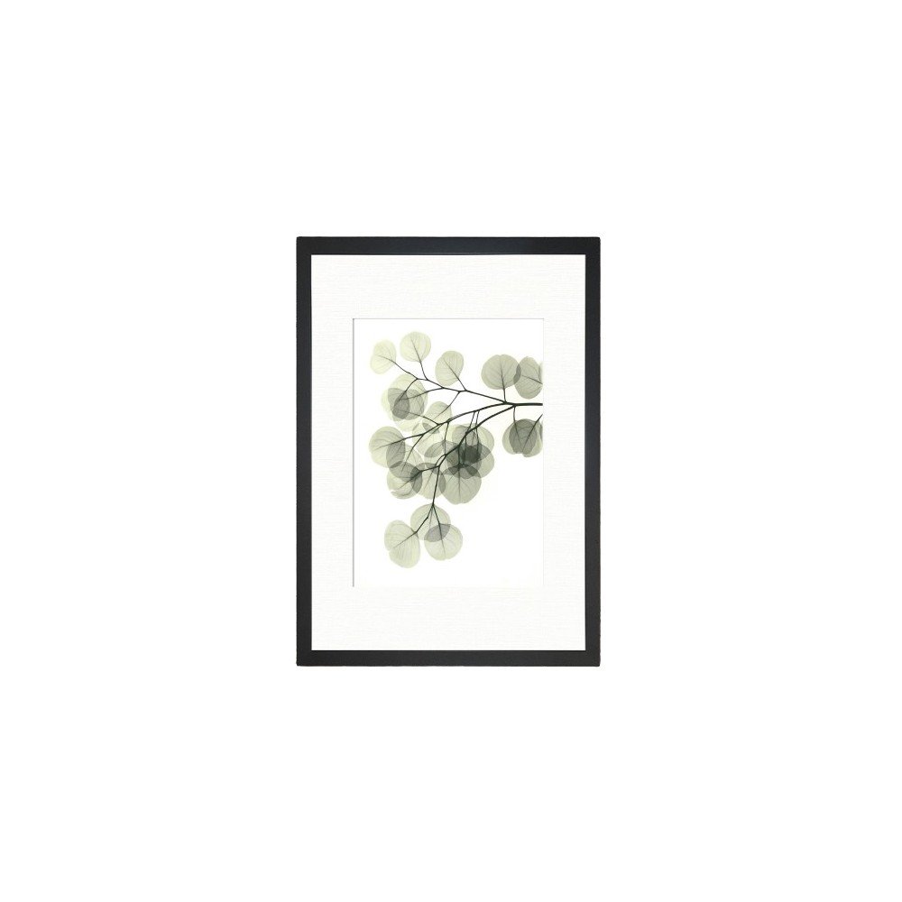 Obraz Tablo Center Leafy, 24 x 29 cm v:1240874
