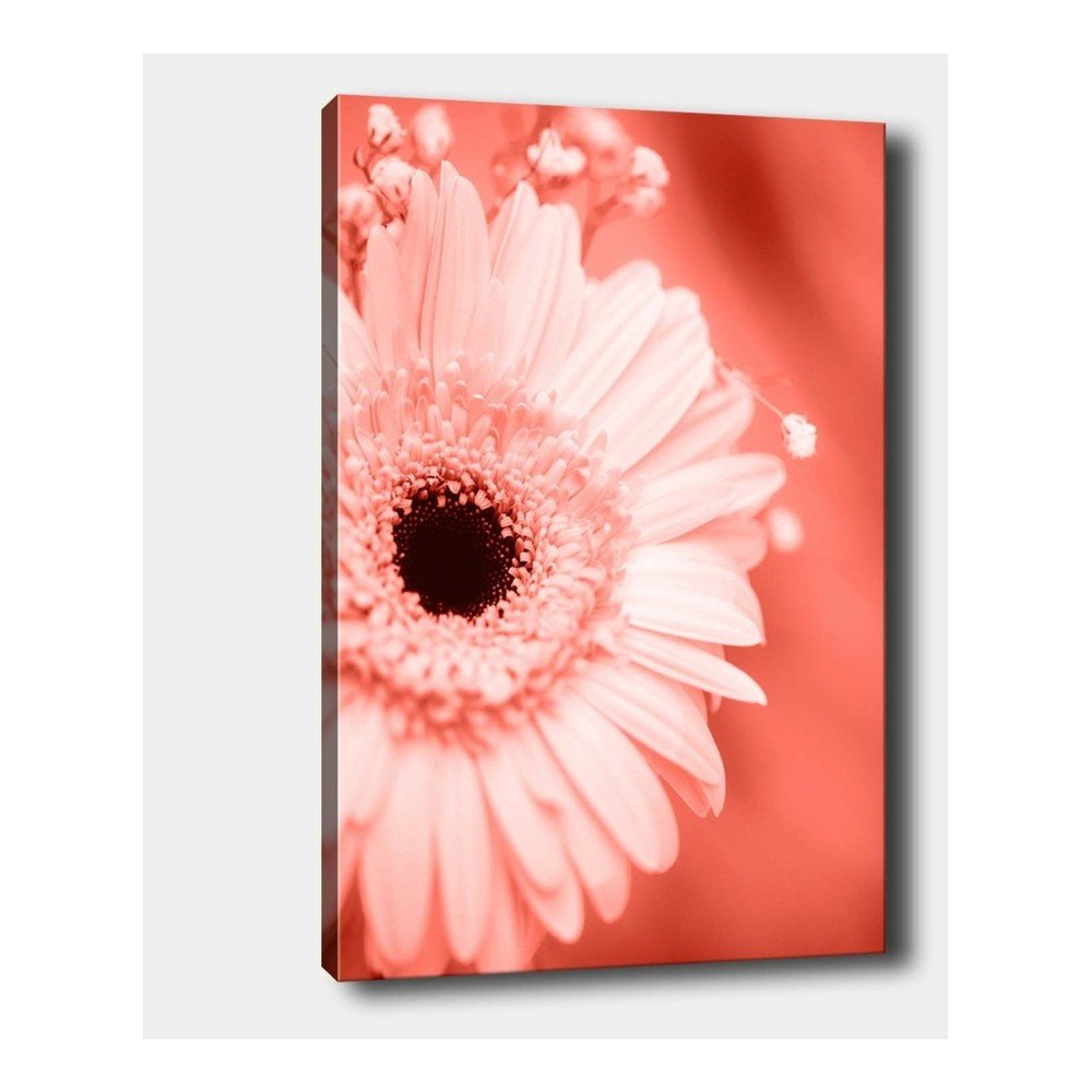 Nástěnný obraz na plátně Tablo Center Gerbera Left, 40 x 60 cm v:1290316