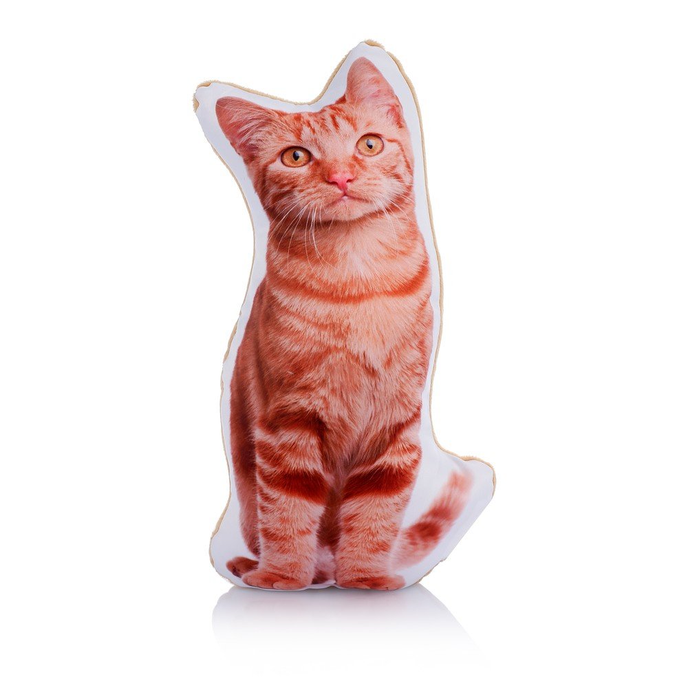 Polštářek s potiskem kočky Adorable Cushions Midi Ginger Cat v:1321140
