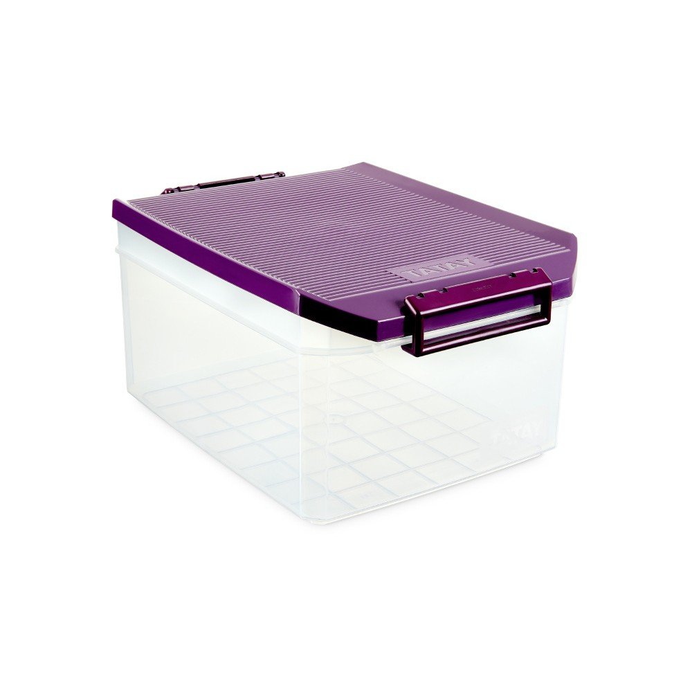 Průhledný úložný box s fialovým víkem Ta-Tay Storage Box, 14 l v:1123150