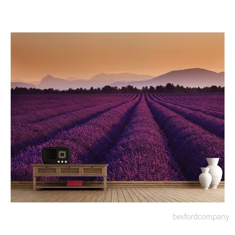 Velkoformátová tapeta Lavender, 315 x 232 cm v:728192