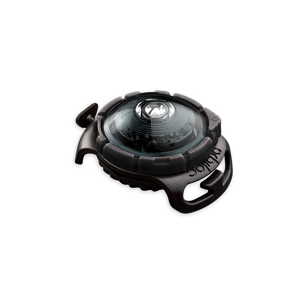 LED světlo na obojek Dark – Orbiloc v:1571182