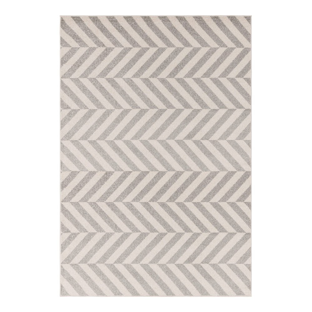 Světle šedý koberec 160x230 cm Muse – Asiatic Carpets v:1565566