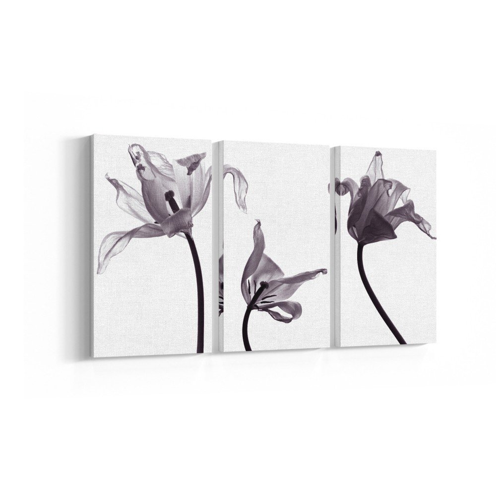 3-dílný obraz Grey Flowers, 20 x 40 cm v:956072