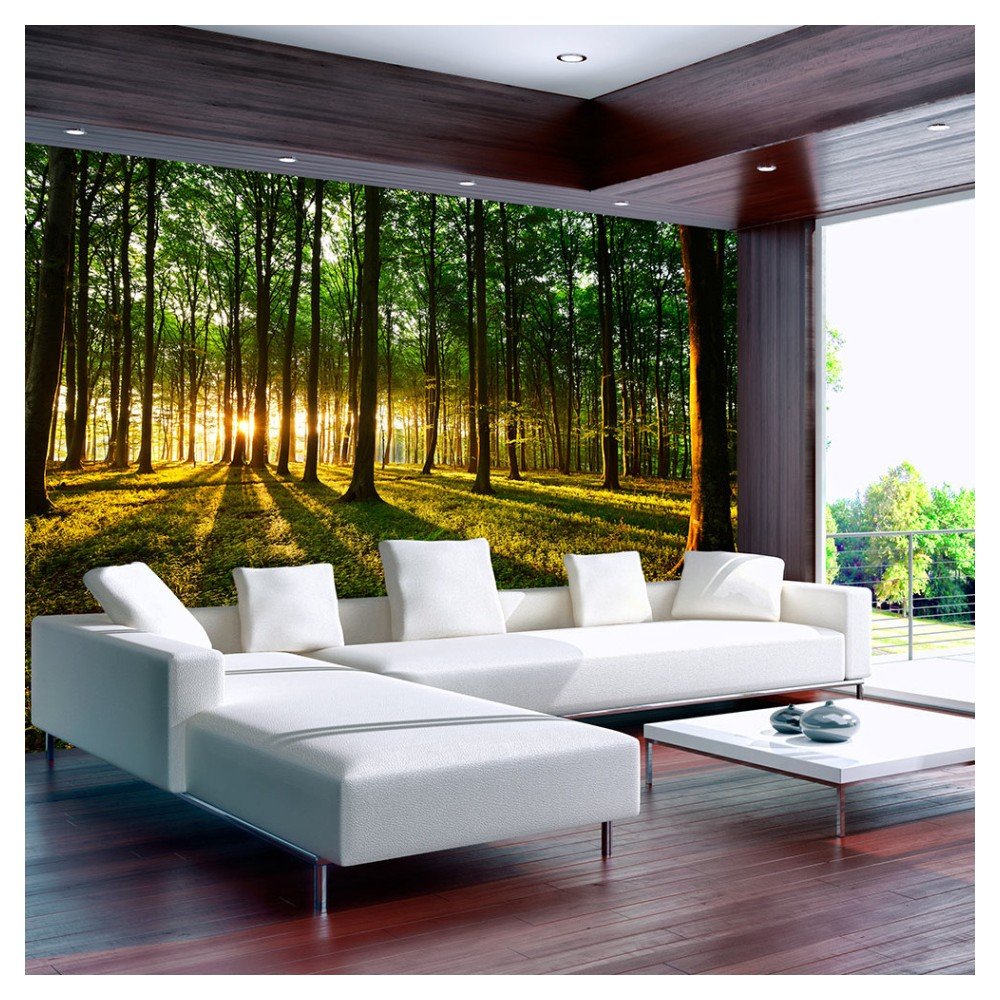 Velkoformátová tapeta Artgeist Morning, 300 x 210 cm v:801874