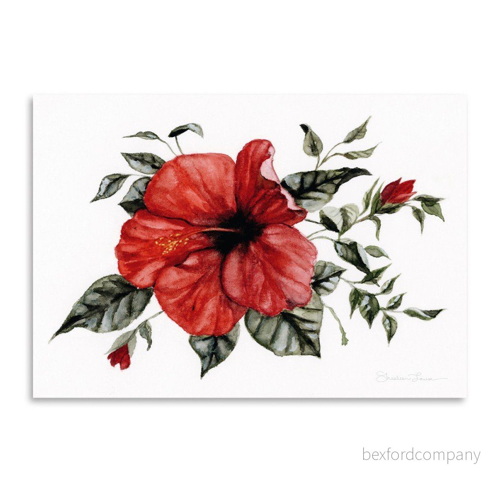 Plakát Americanflat Red Hibiscus by Shealeen Louise, 30 x 42 cm v:1120602
