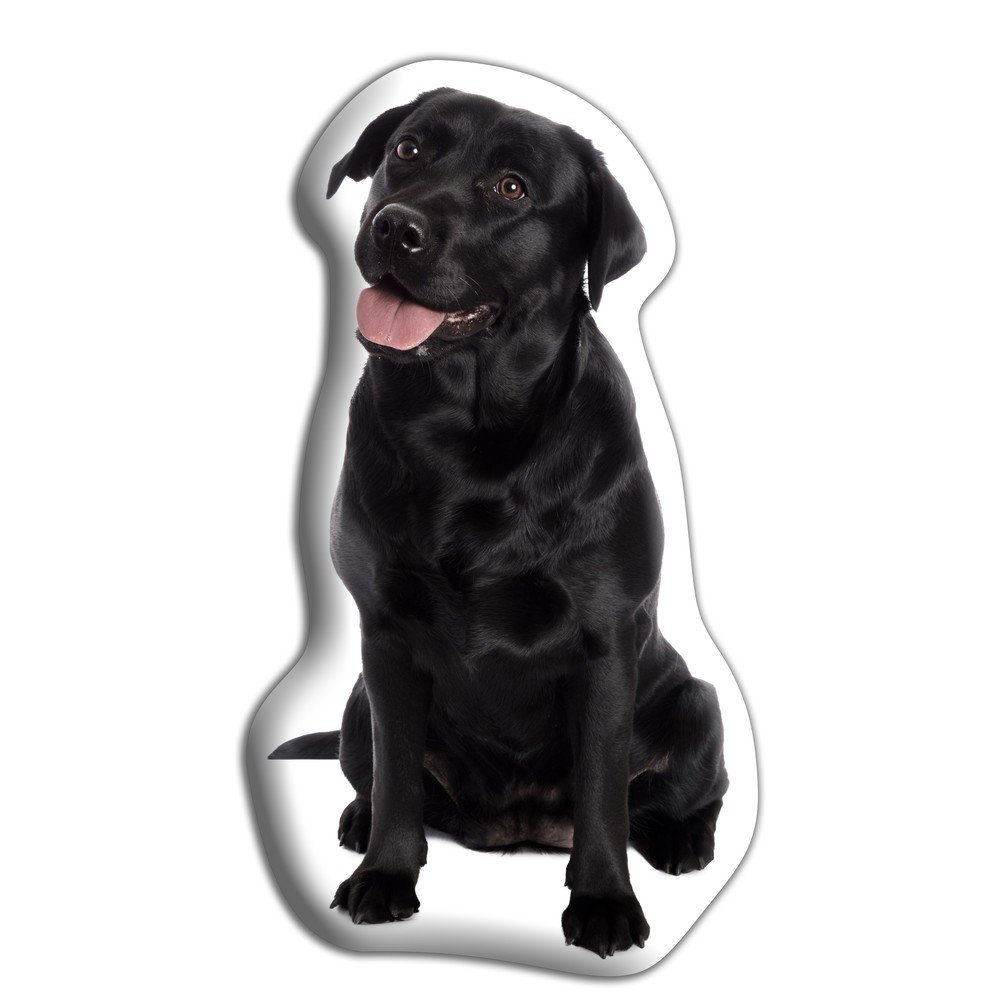 Polštářek s potiskem černého Labradorského retrívra Adorable Cushions v:1321178