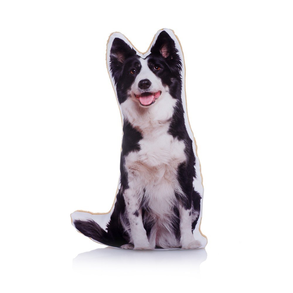 Polštářek s potiskem Border kolie Adorable Cushions Midi Border Collie v:1321130