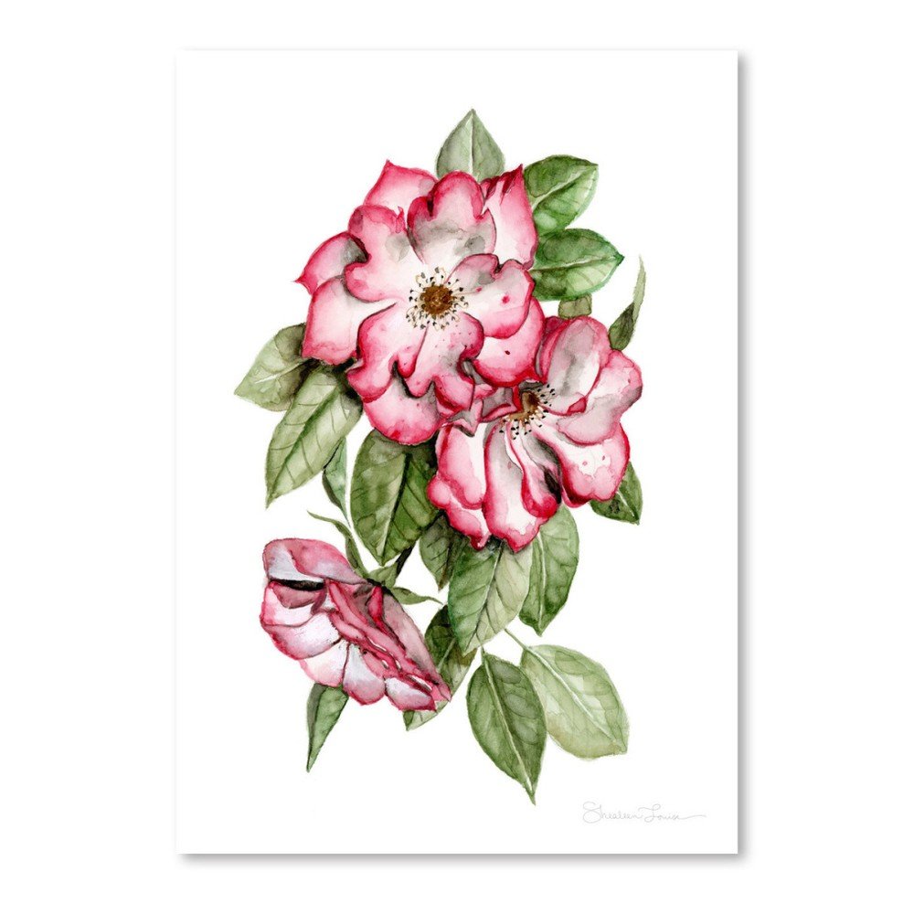 Plakát Americanflat Portland Roses by Shealeen Louise, 30 x 42 cm v:1120598