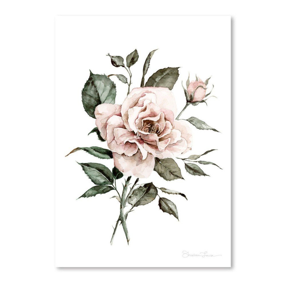 Plakát Americanflat Faded Pink Rose by Shealeen Louise, 30 x 42 cm v:1120576