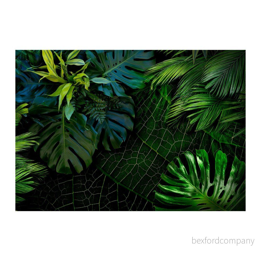 Velkoformátová tapeta Artgeist Dark Jungle, 400 x 280 cm v:1328618