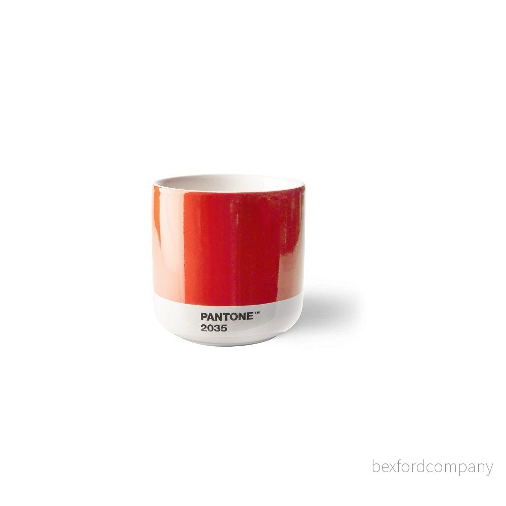 Červený porcelánový šálek na cappuccino 175 ml Red 2035 – Pantone v:1397667